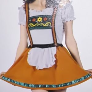 Adult Female Costumes to Hire - German Beerfest -  Mustard skirt & white Top 